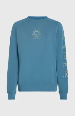 DamesBeach Vintage Crew sweater| Blauw
