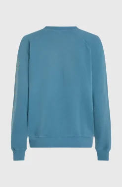 DamesBeach Vintage Crew sweater| Blauw