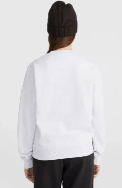 DamesWomen of the Wave Crew sweater| Wit