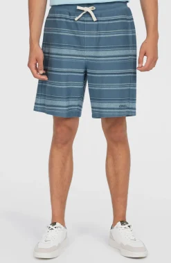 HerenBavaro short| Blauw