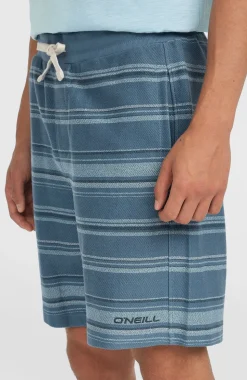 HerenBavaro short| Blauw