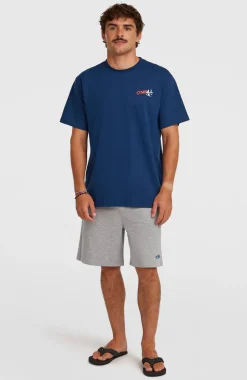 HerenEssentials 90s Graphic T-shirt| Blauw