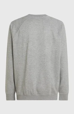 HerenEssentials 90s Logo Crew sweater| Grijs