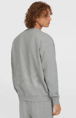 HerenFuture Surf Society Crew sweater| Grijs