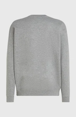 HerenFuture Surf Society Crew sweater| Grijs