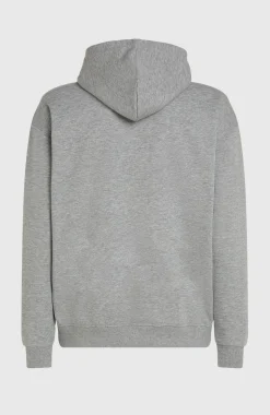 HerenFuture Surf Society hoodie| Grijs