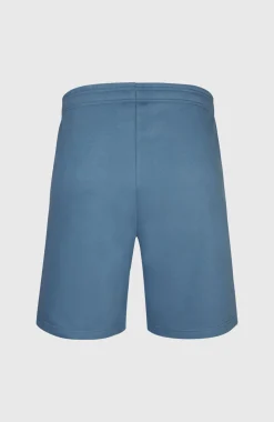 HerenFuture Surf Society short| Blauw