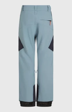 HerenFWC'Peak Cargo wintersportbroek| Blauw Mix