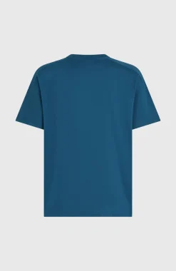 HerenFWC'Play T-shirt| Blauw