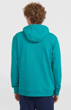 HerenGraphic hoodie| Blauw