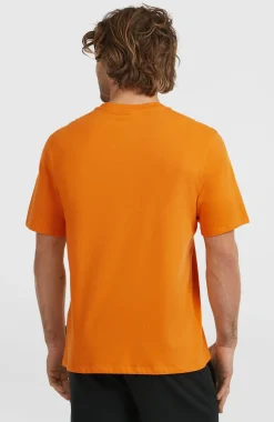 HerenGraphic T-shirt| Oranje