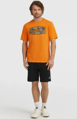 HerenGraphic T-shirt| Oranje