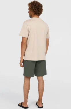 HerenHybrid Chino 19