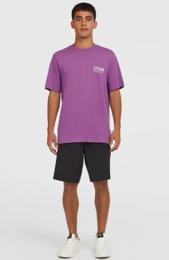 HerenHybrid Chino 19