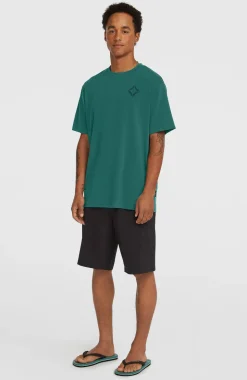 HerenHybrid 19'' short| Zwart