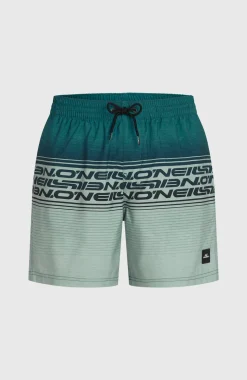 HerenLogo Stripe 16'' zwembroek|