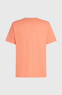 HerenMelange Chest-Print T-shirt| Oranje