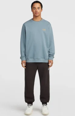 HerenO'Neill Cali Crew sweater| Blauw