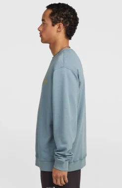 HerenO'Neill Cali Crew sweater| Blauw