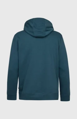 HerenO'Neill California Graphic hoodie| Blauw