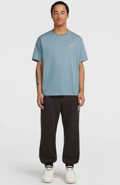 HerenO'Neill Cali T-shirt| Blauw