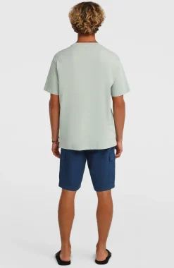 HerenO'Neill Essentials Ripstop cargoshort| Blauw