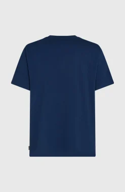 HerenO'Neill Gradient T-shirt| Blauw