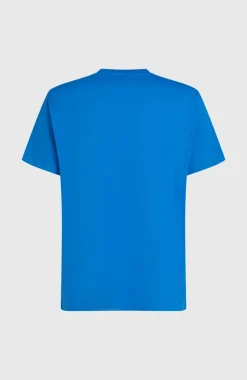 HerenO'Neill Gradient T-shirt| Blauw
