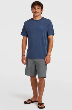 HerenO'Neill Hybrid Polygiene Back-Print T-shirt| Blauw
