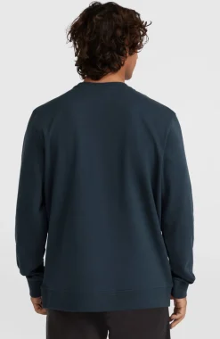 HerenO'Neill Logo Crew sweater| Blauw