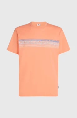 HerenO'Neill Logo Stripe T-shirt| Oranje