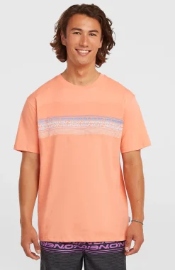 HerenO'Neill Logo Stripe T-shirt| Oranje