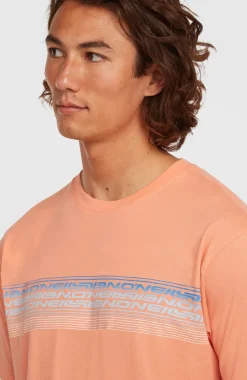 HerenO'Neill Logo Stripe T-shirt| Oranje