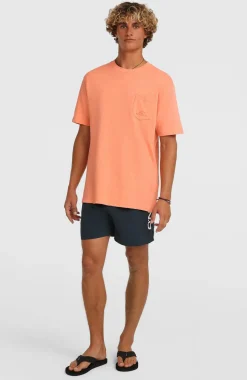 HerenO'Neill Logo 16
