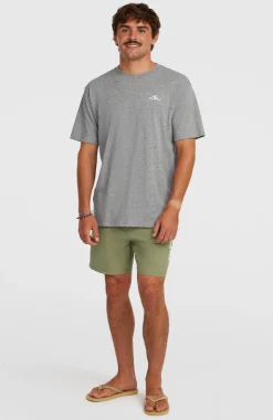 HerenO'Neill Logo 16'' zwembroek| Groen