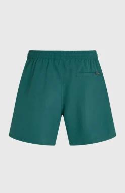 HerenO'Neill Logo 16'' zwembroek| Groen