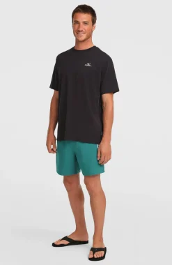 HerenO'Neill Logo 16'' zwembroek| Groen