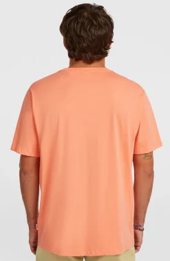 HerenO'Neill Muir T-shirt| Oranje