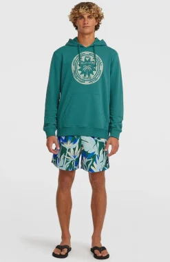 HerenO'Neill Must-Have Graphic hoodie| Groen
