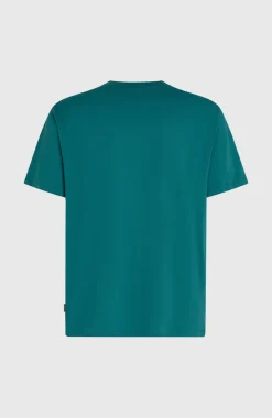HerenO'Neill Must-Have Graphic T-shirt| Groen