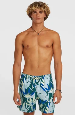 HerenO'Neill Print 16'' zwembroek| Blauw