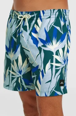 HerenO'Neill Print 16'' zwembroek| Blauw