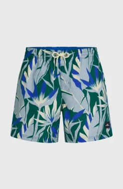 HerenO'Neill Print 16'' zwembroek| Blauw