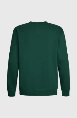 HerenO'Neill Small Logo Crew sweater| Groen