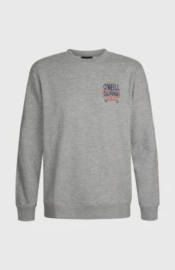HerenO'Neill Small Logo Crew sweater| Grijs