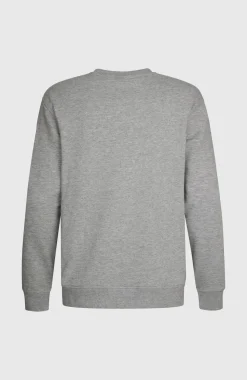 HerenO'Neill Small Logo Crew sweater| Grijs