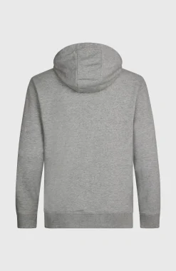 HerenO'Neill Small Logo hoodie| Grijs