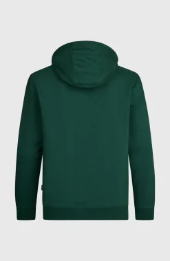 HerenO'Neill Small Logo hoodie| Groen
