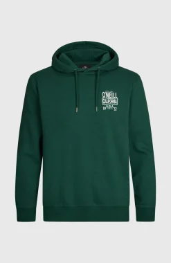 HerenO'Neill Small Logo hoodie| Groen