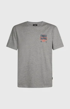 HerenO'Neill Small Logo T-shirt| Grijs